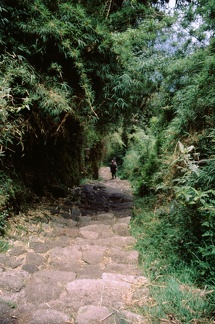 135-11