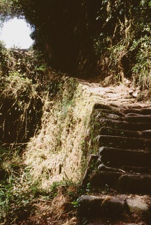135-14